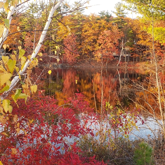 🍂Fall at the feet of Beauty - Picture 8 of 12